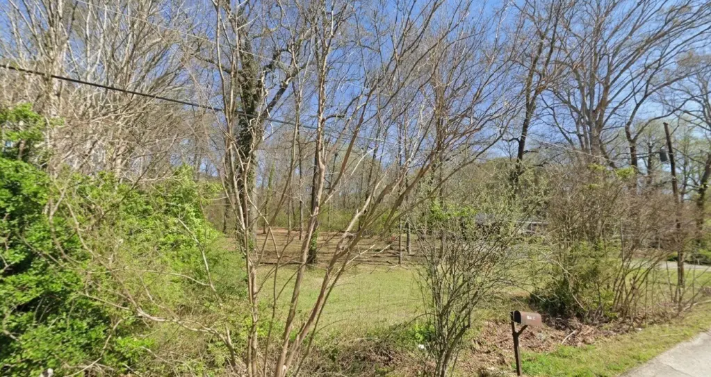 Picture 3