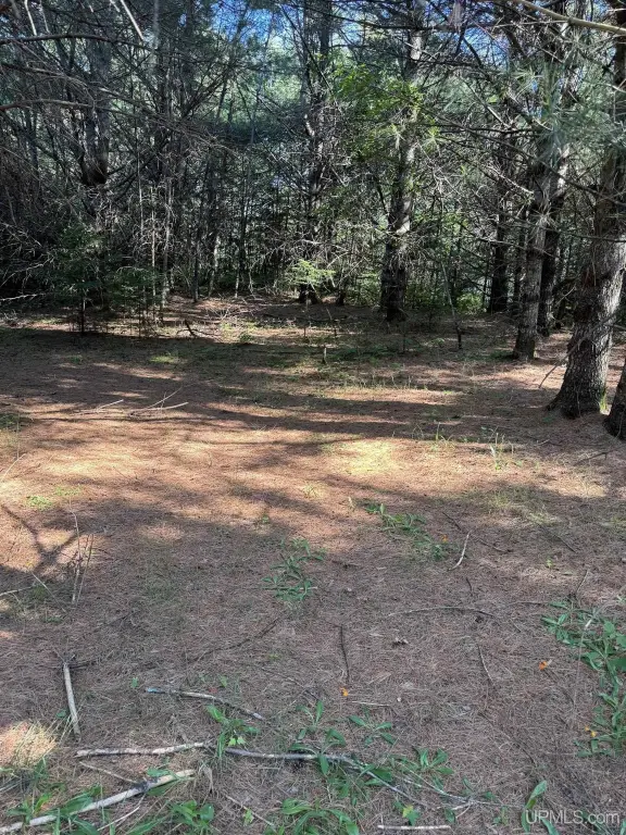 Picture 6