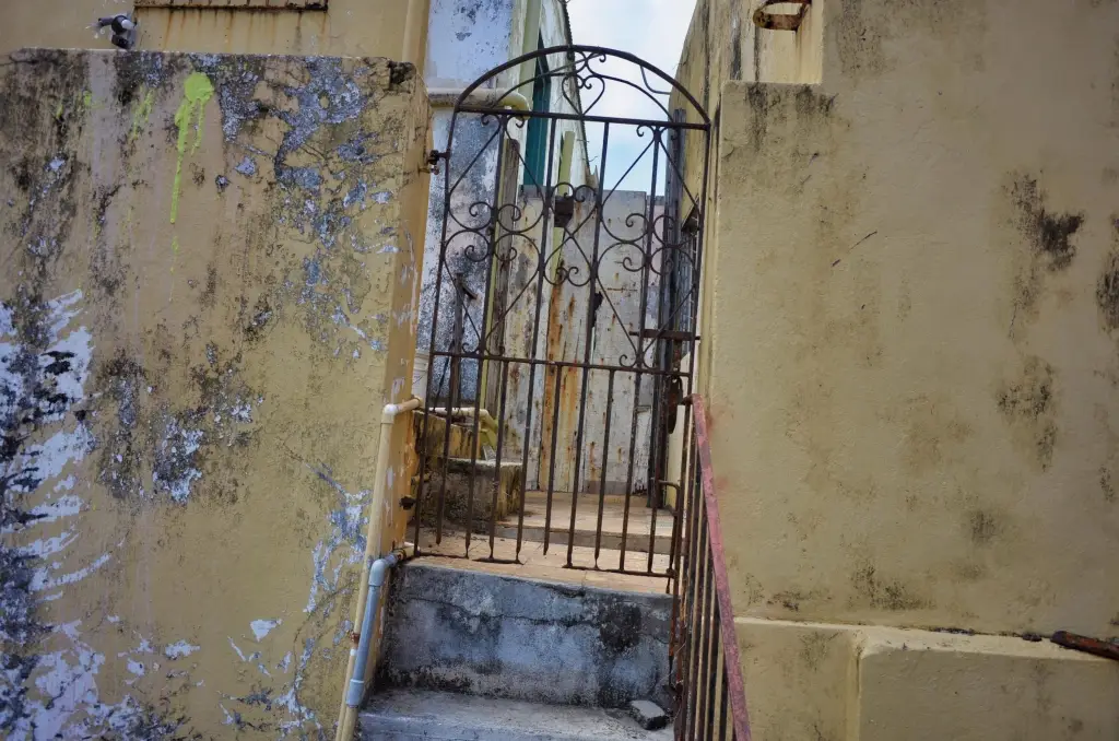 Picture 15
