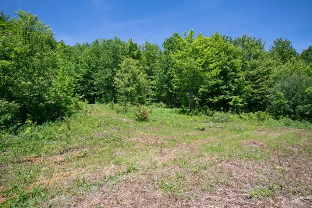 Picture 3