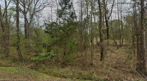 Camden, AR Corner Lot