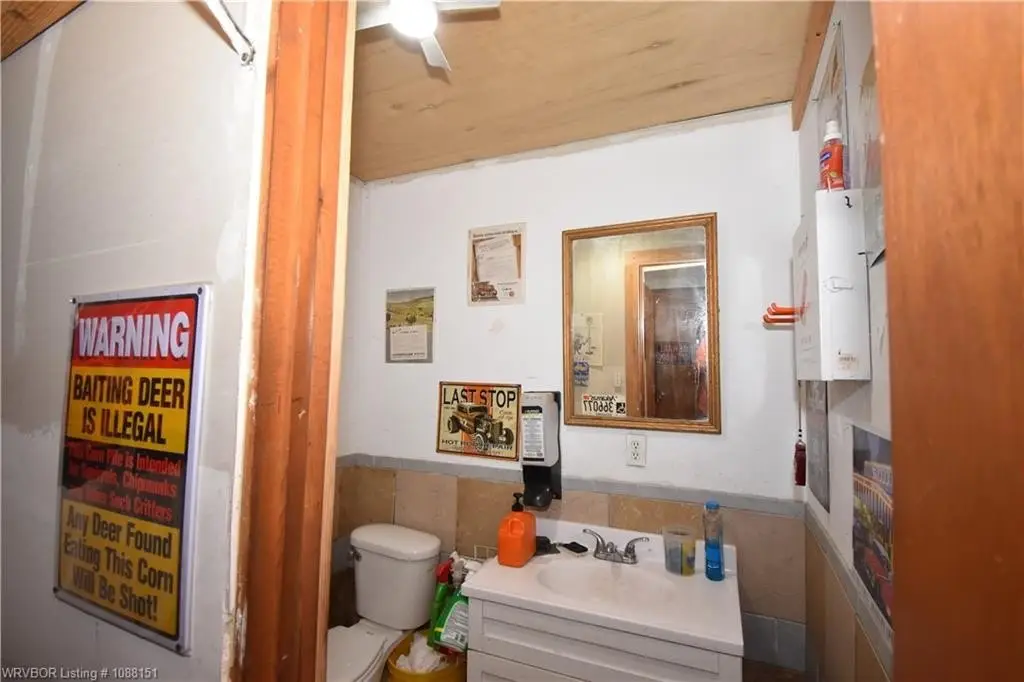 Picture 7