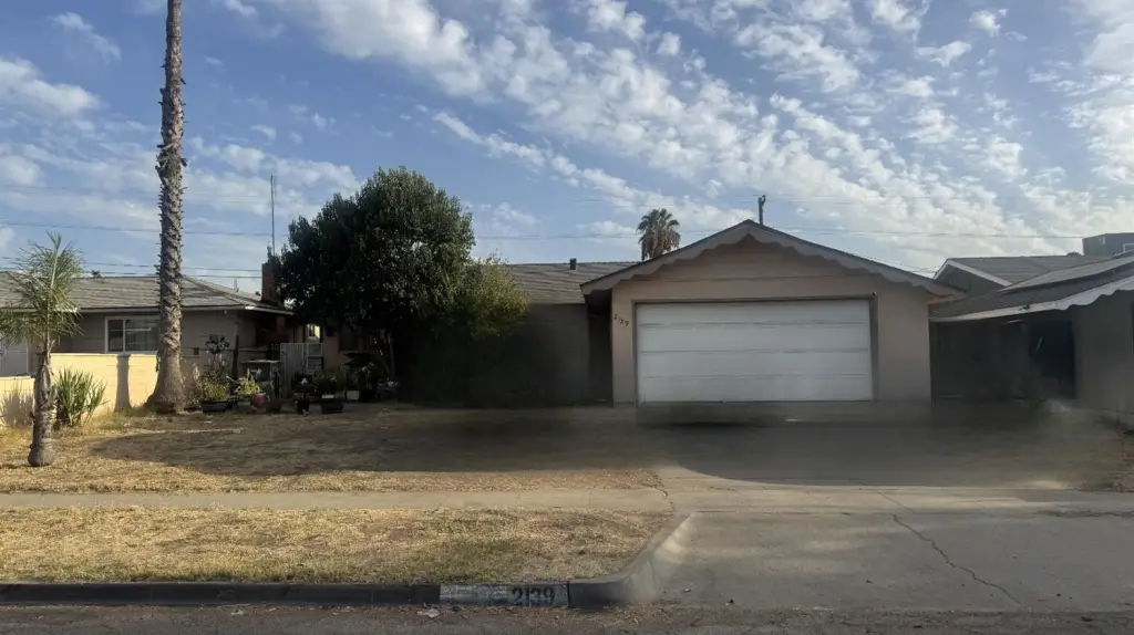 Picture 5