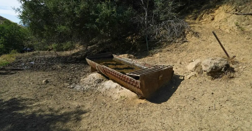 Picture 47