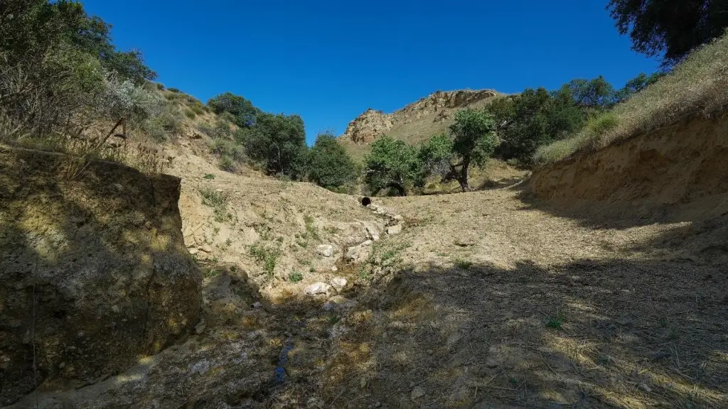 Picture 45