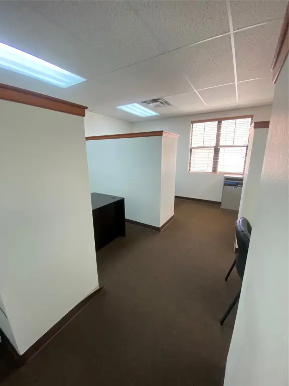 Picture 21