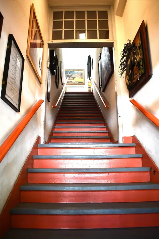 Picture 7