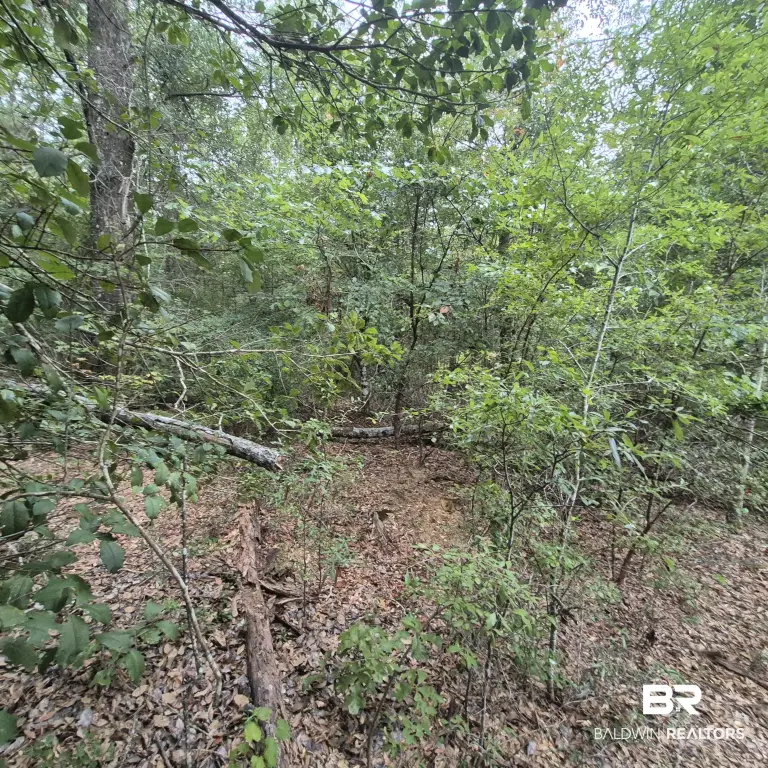 Picture 16