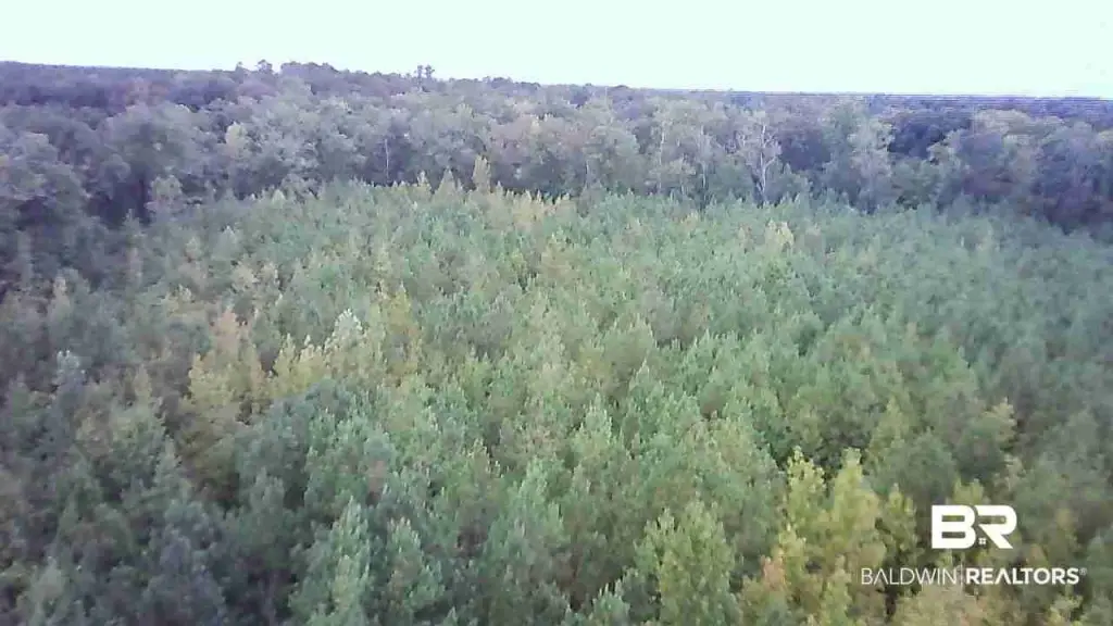 Picture 29