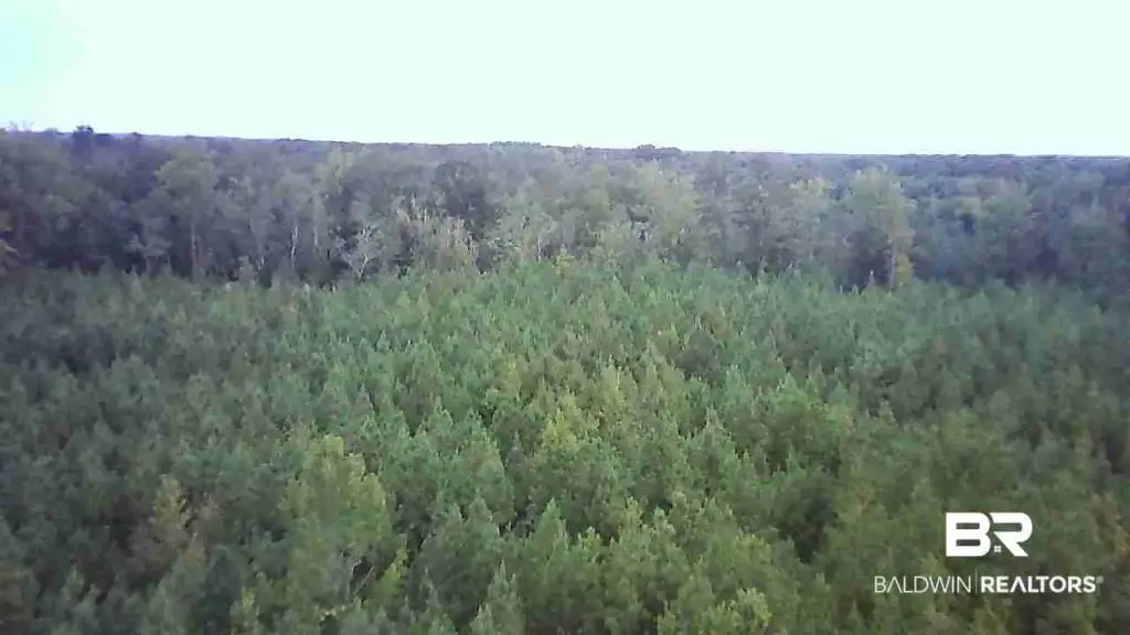 Picture 30