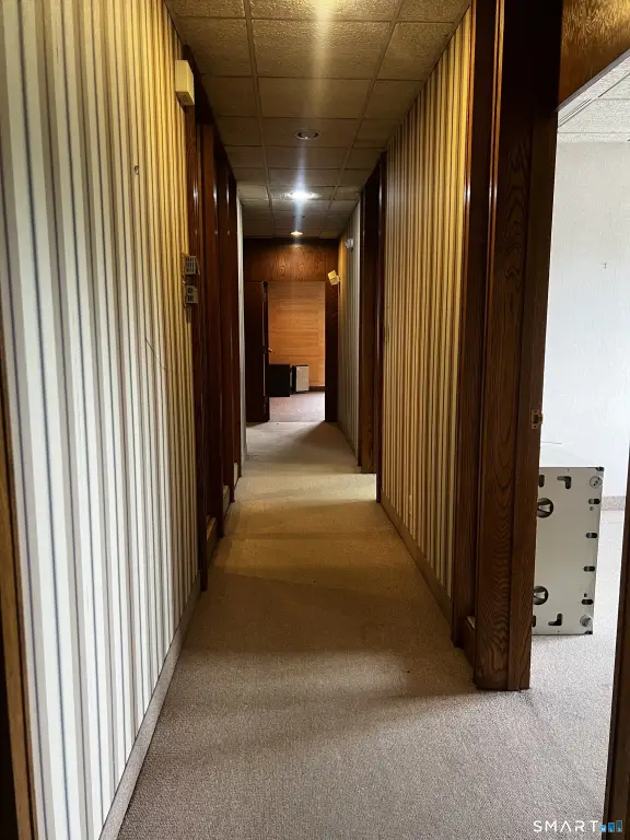 Picture 7