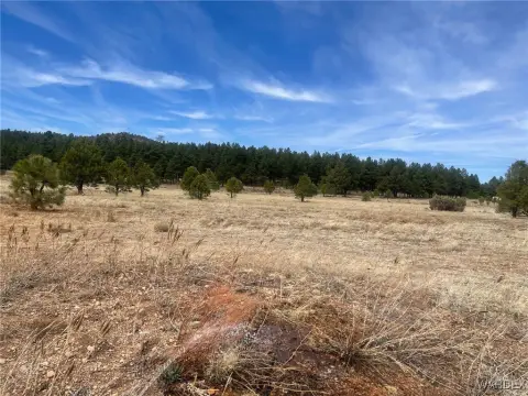 9.9 Acres in Williams, AZ