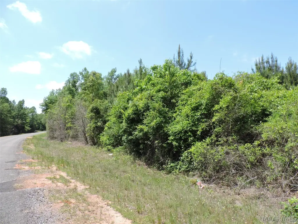Picture 6
