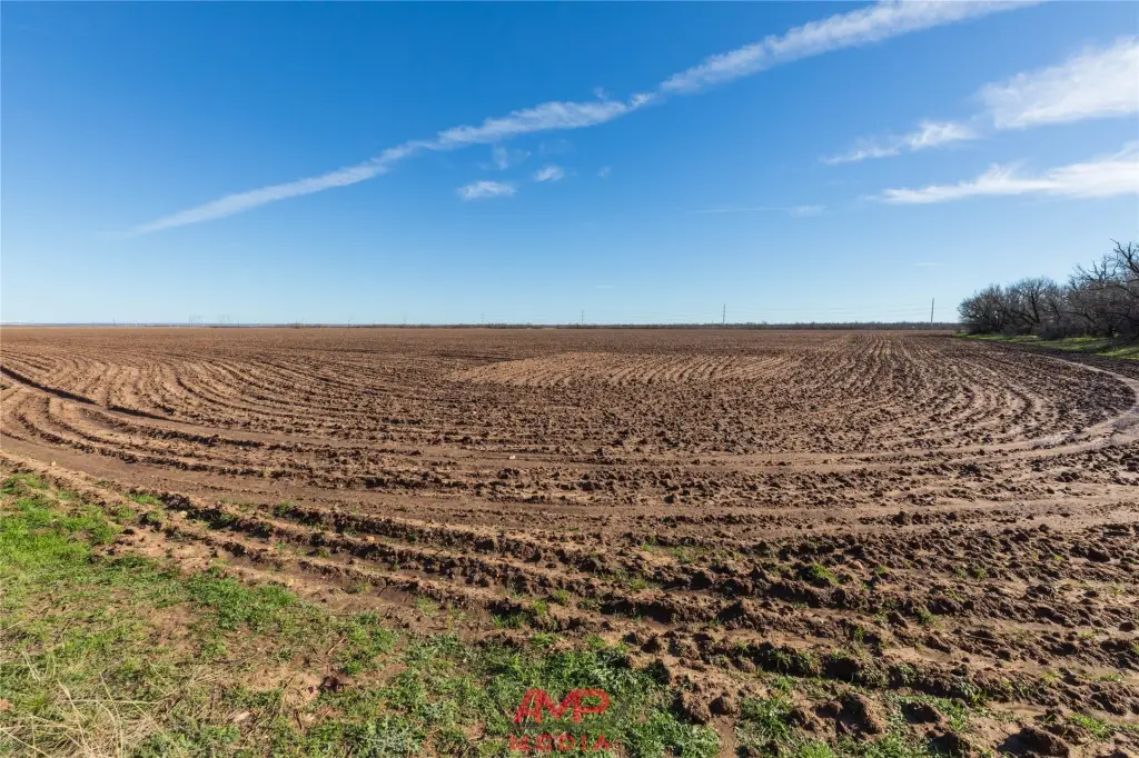 Picture 23