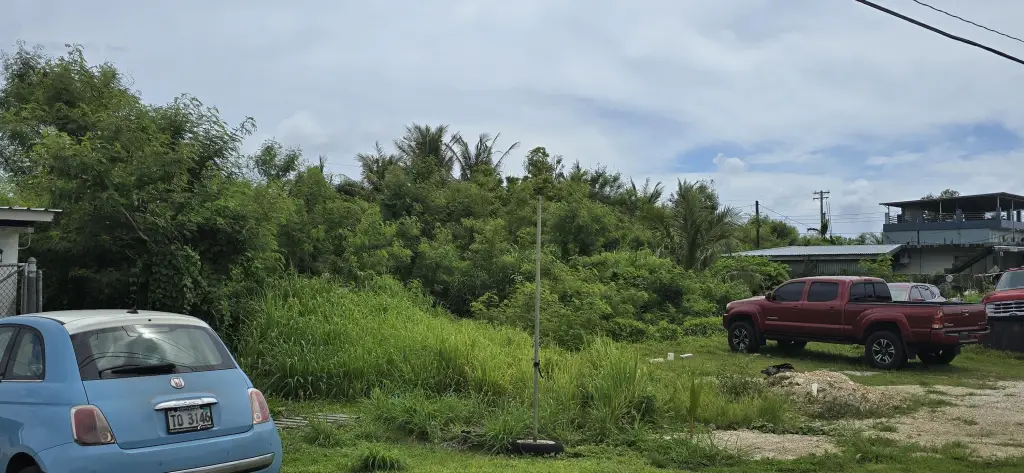 Picture 2