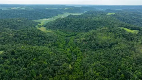 80 Acres Hunting Land, Cochrane