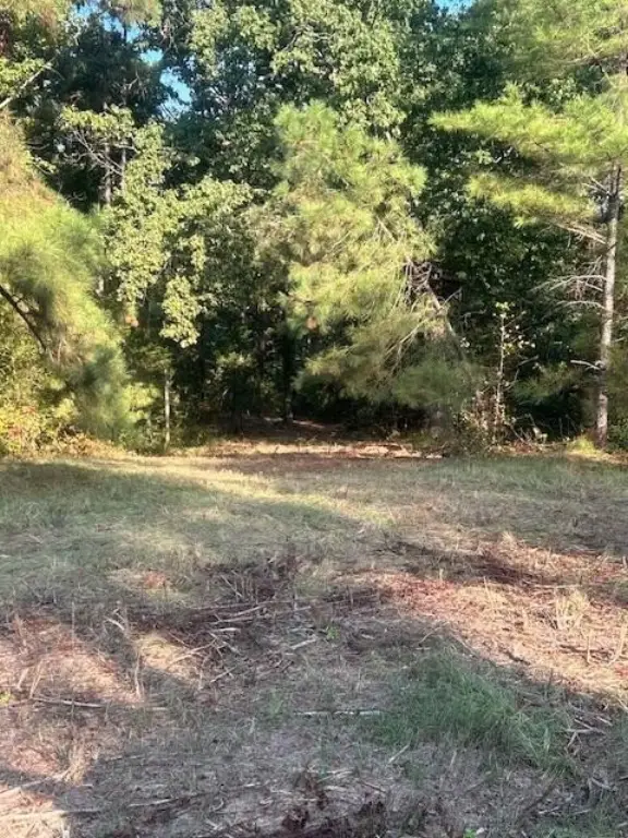 Picture 4