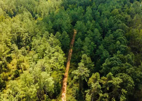 Recreational Hunting Land