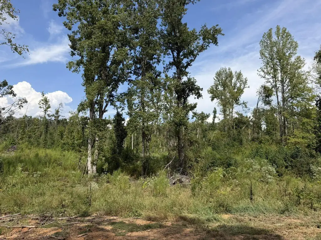 Picture 20