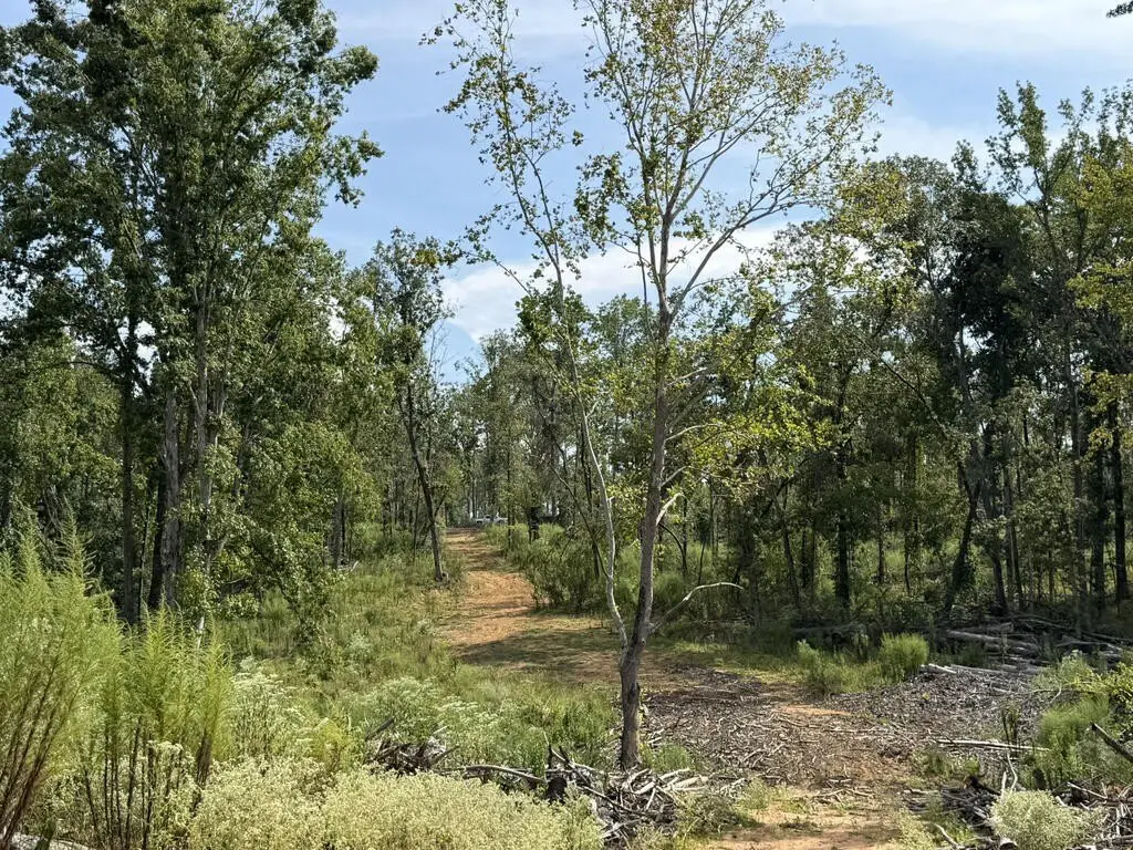 Picture 26