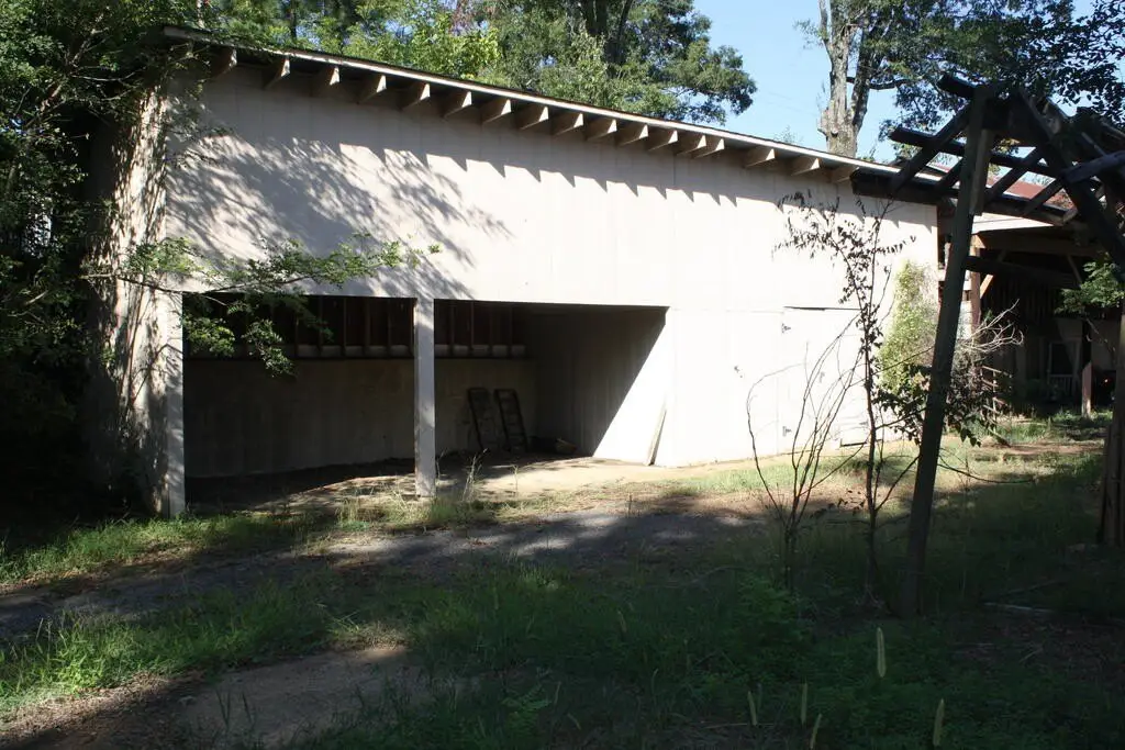 Picture 9