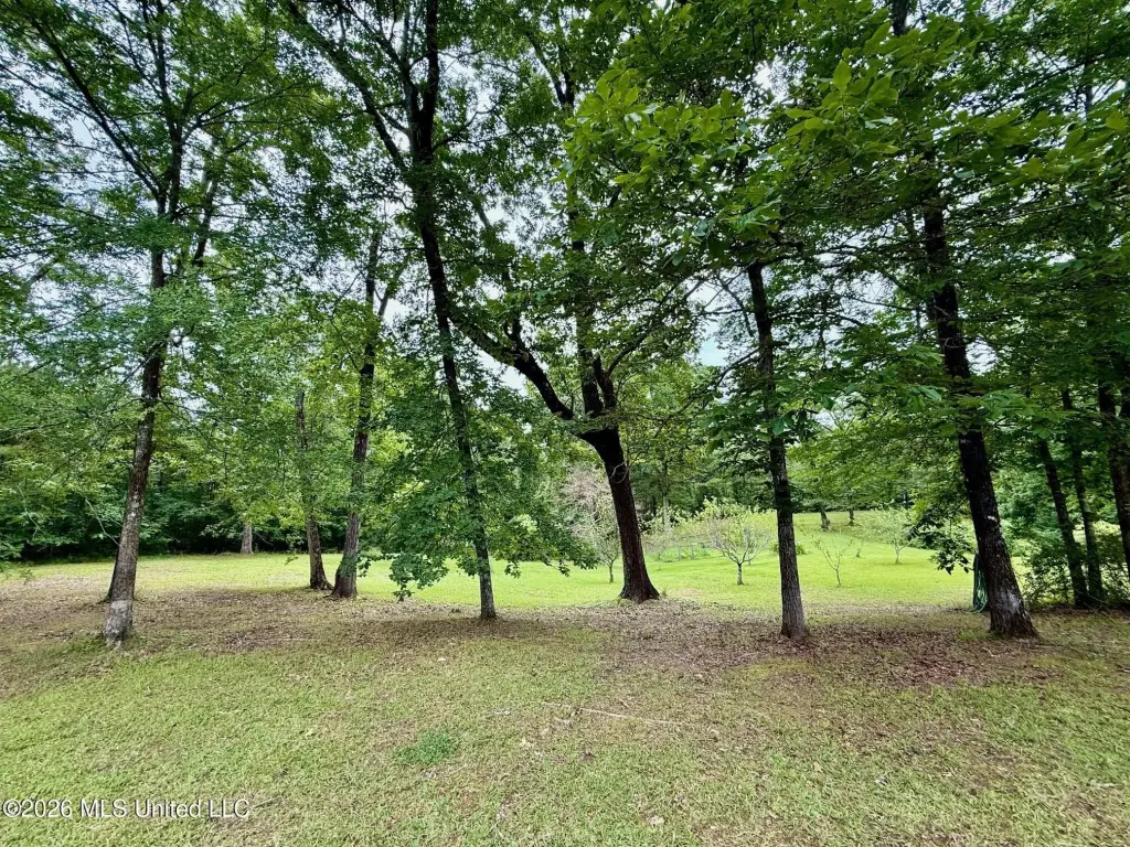 Picture 7