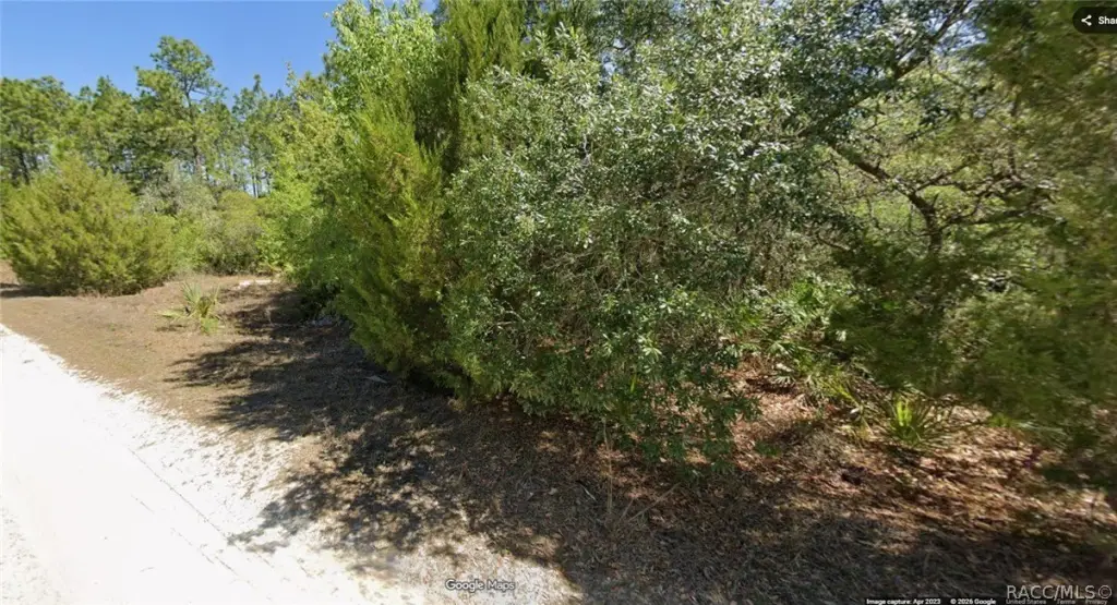 Picture 2
