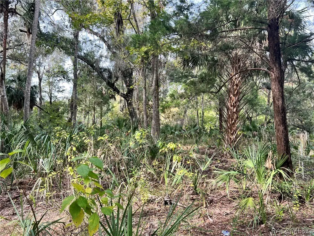 Picture 21