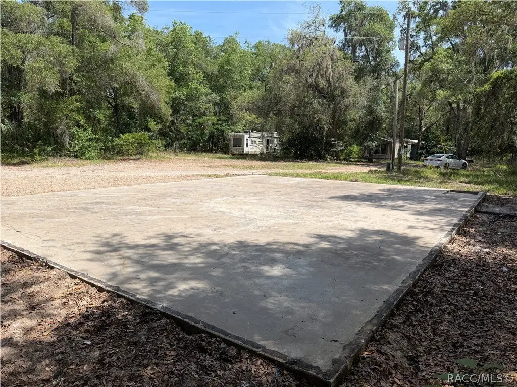 Picture 5