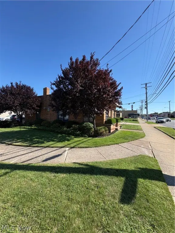 Picture 19