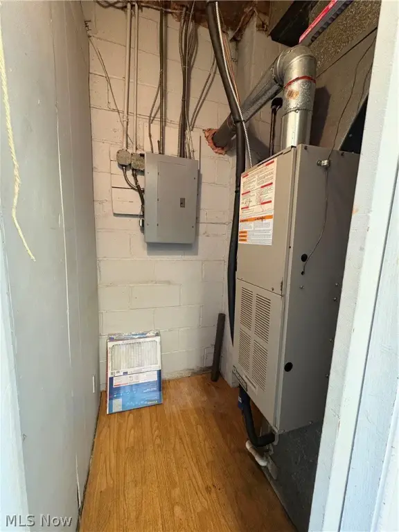Picture 11