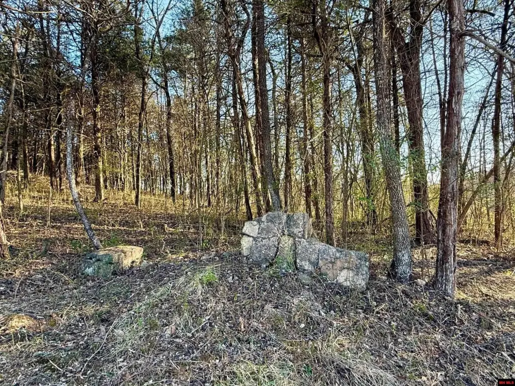 Picture 25