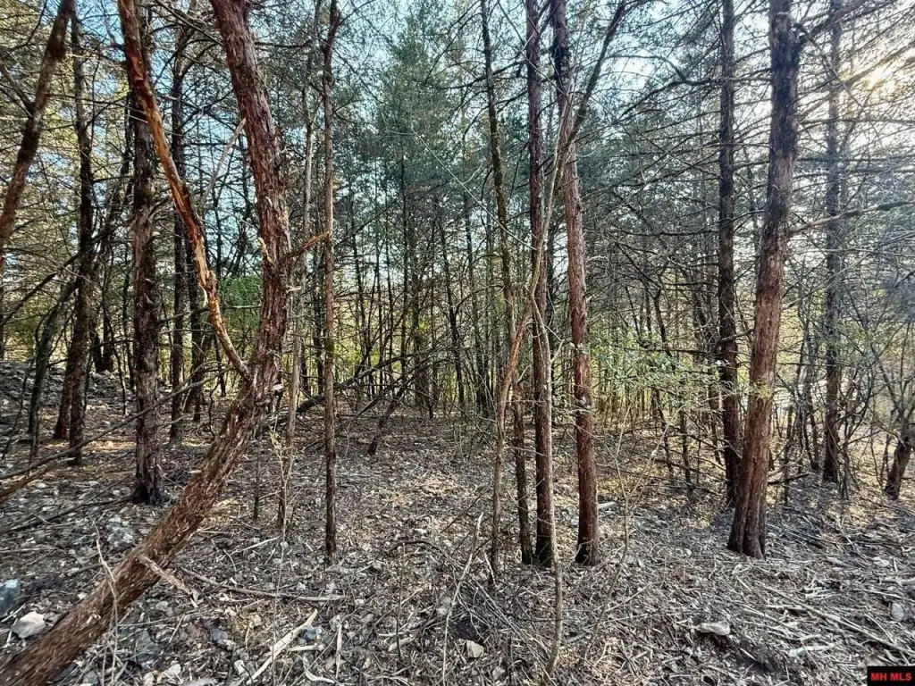 Picture 13