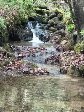 Land with Mountain Views