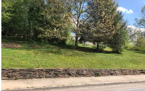 Commercial Lot in Blue Ridge