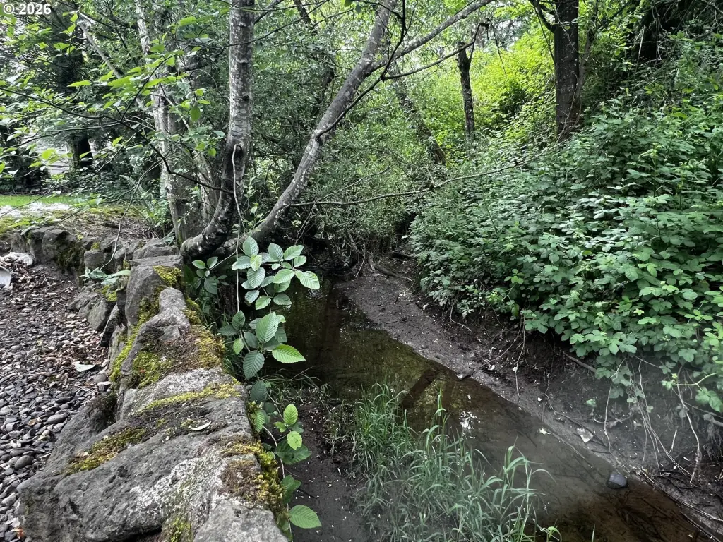 Picture 36