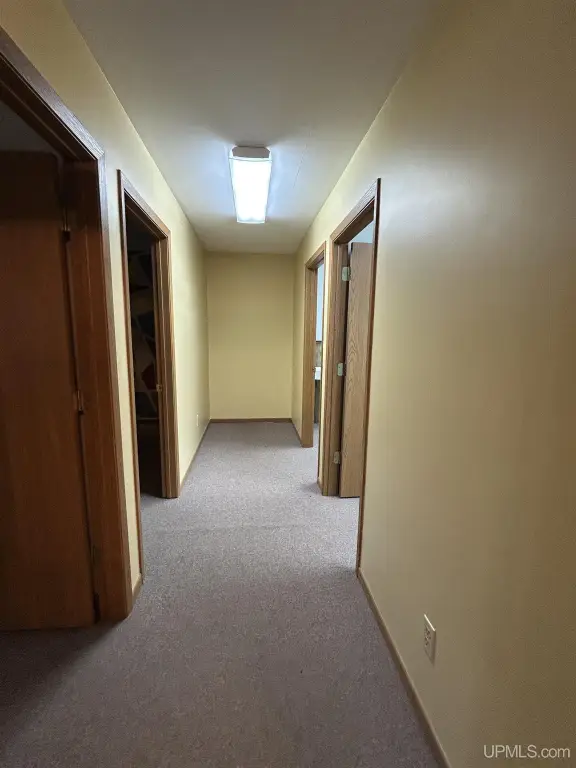 Picture 7