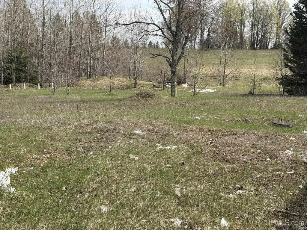 Picture 17