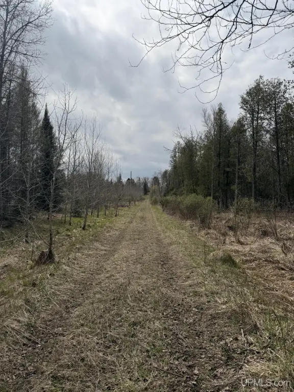 Picture 18