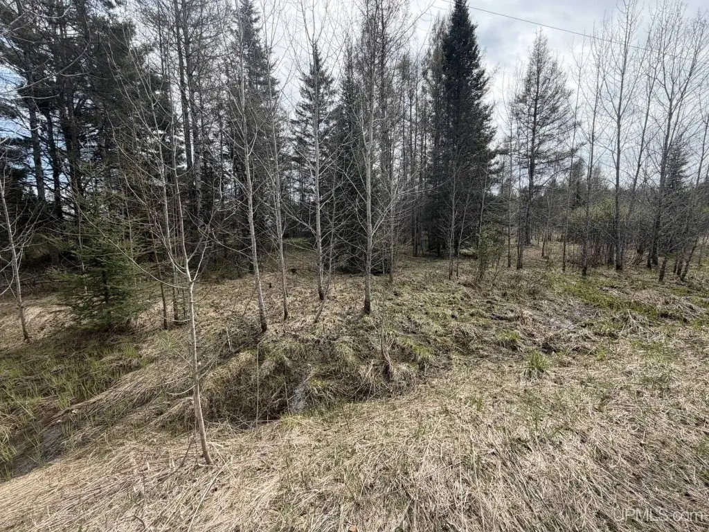 Picture 21