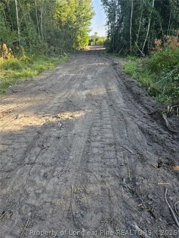 Picture 15