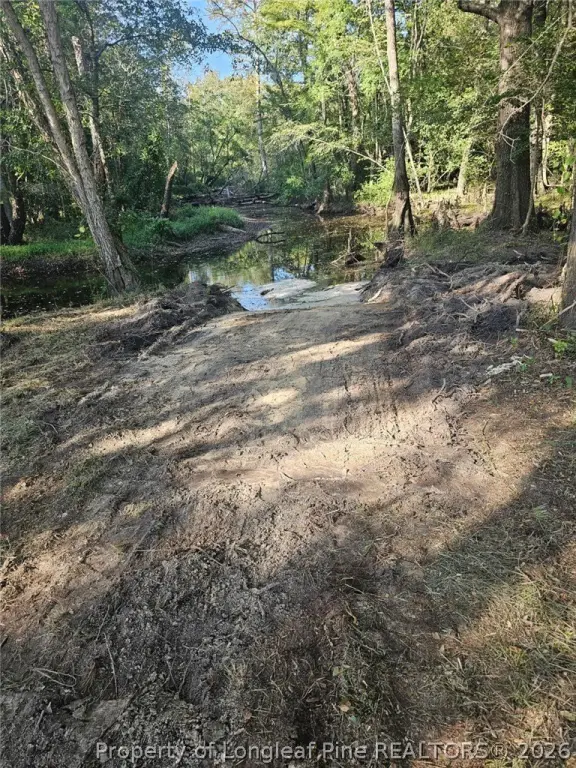 Picture 19
