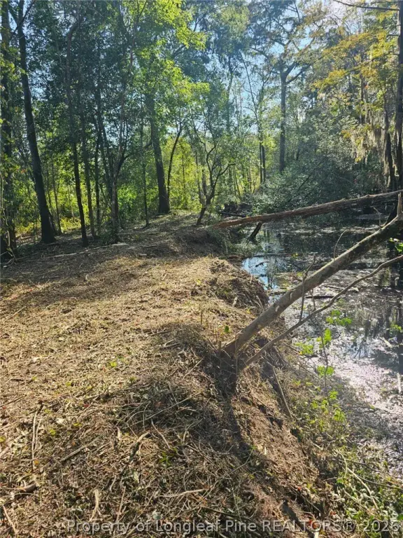 Picture 18