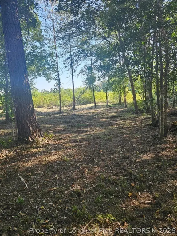 Picture 16
