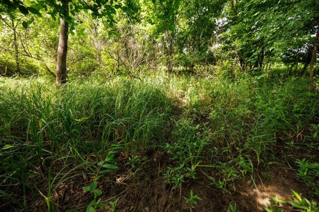 Picture 33