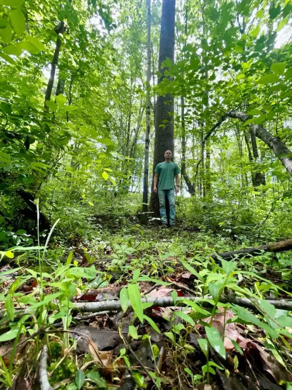 Picture 15
