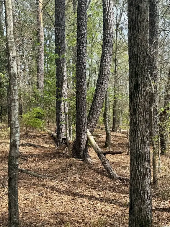 Picture 21