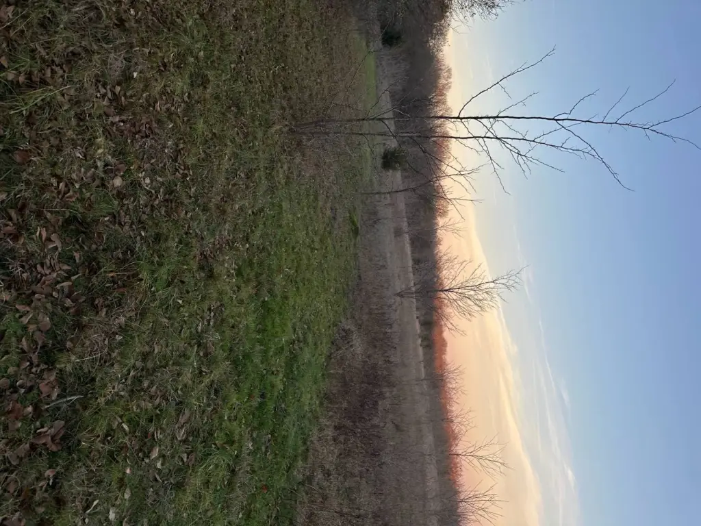 Picture 38