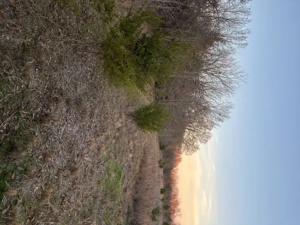 Picture 39