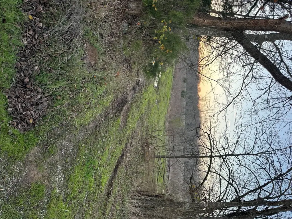 Picture 47
